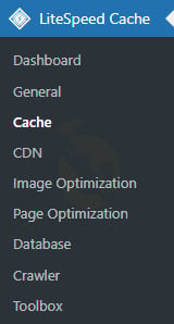 Litespeed cache