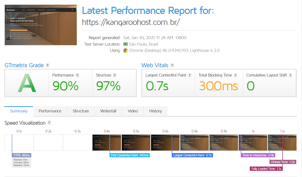 Funcionalidades do Plugin Litespeed - Page Otimization